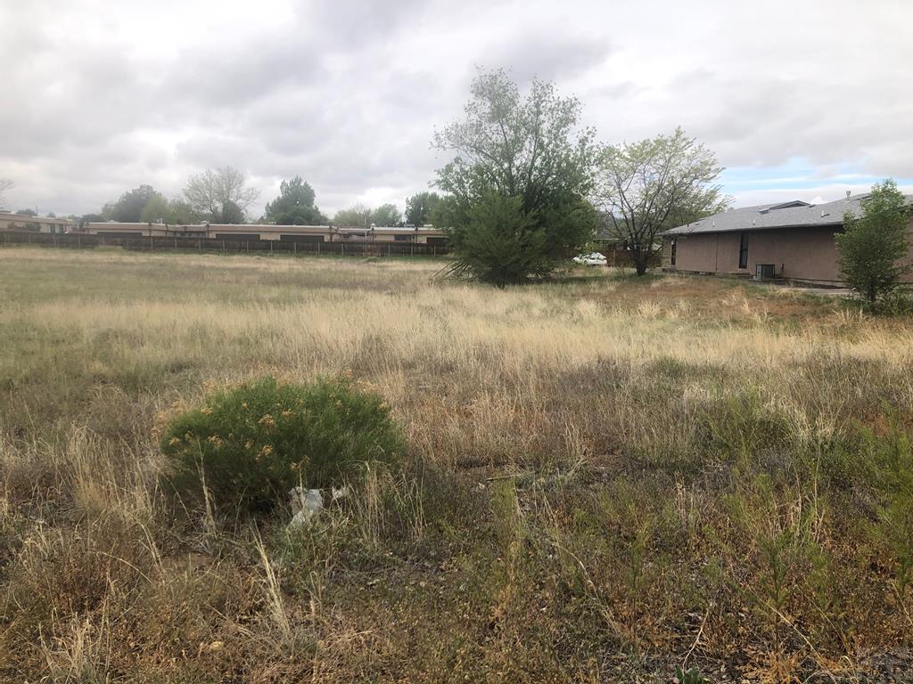 TBD Pueblo Blvd - Photo 1
