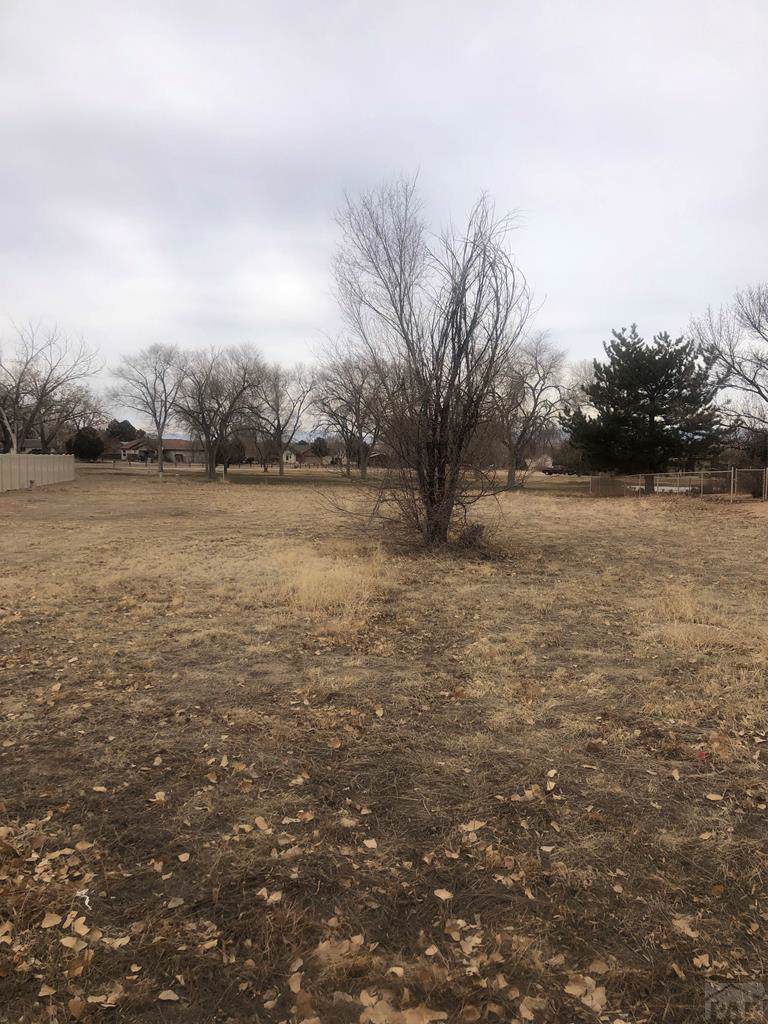 291 Sifford Court - Photo 1