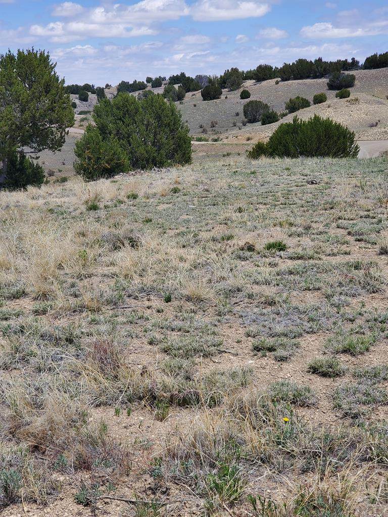 00 Deer Trail Rd - Photo 1