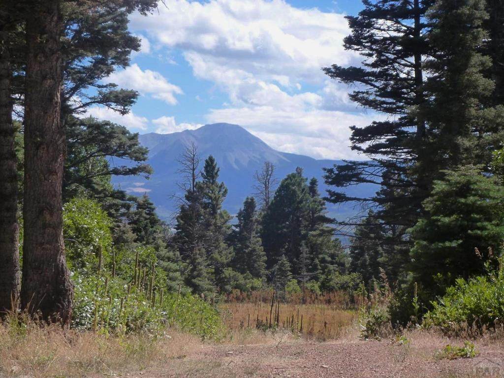 TBD Highway 160 - Photo 1