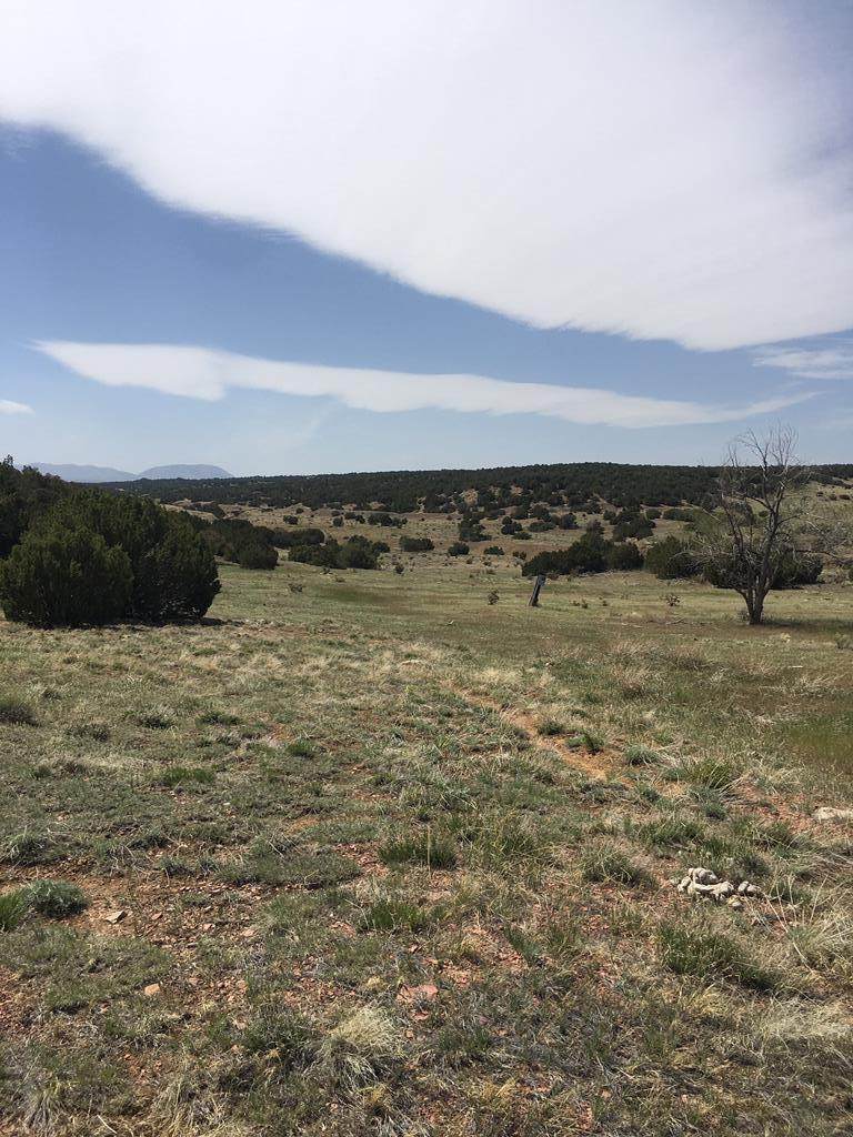 281 County Rd 595 - Photo 1