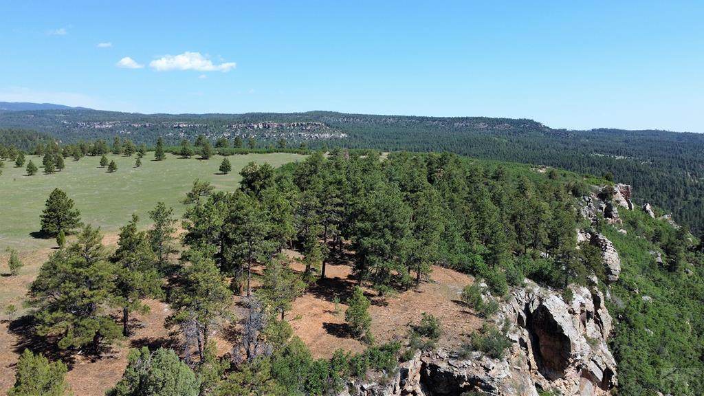 TBD Lone Bison Rd - Photo 1