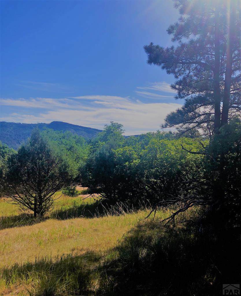 TBD Columbine Rd - Photo 1