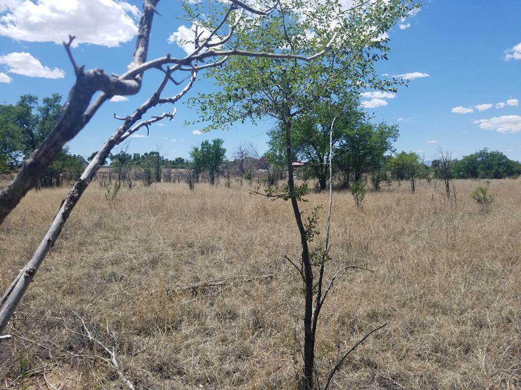 TBD Kiowa St. - Photo 1