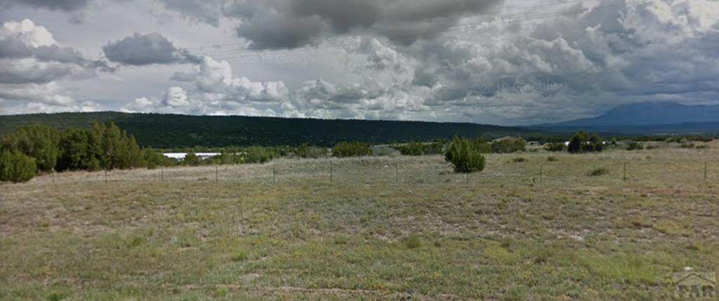 TBD Highway 160 - Photo 1