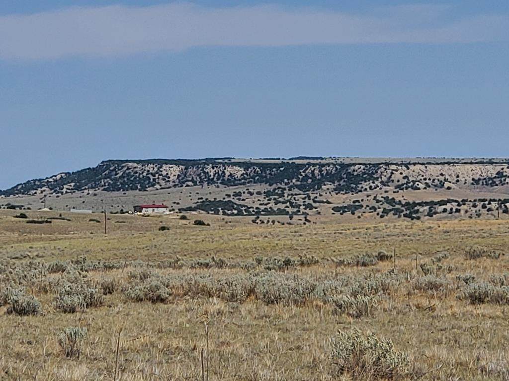 Lot 7 Hawks Prairie - Photo 1