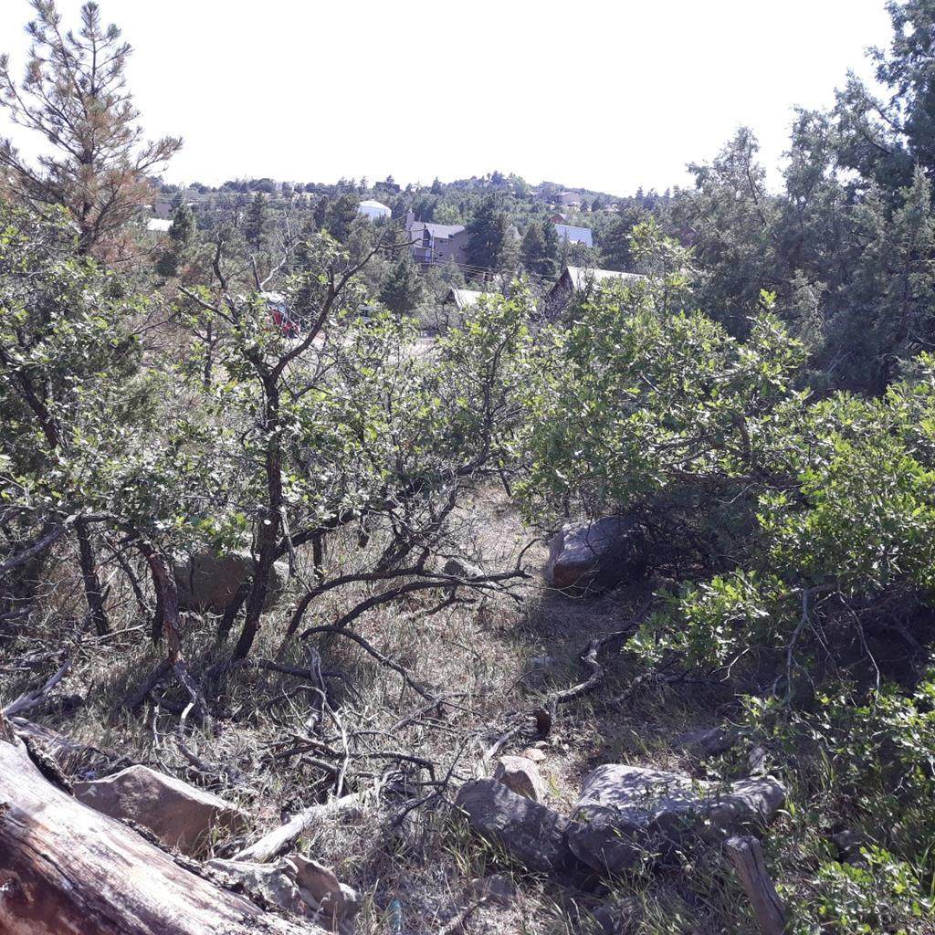 0 Cottontail Lane - Photo 1