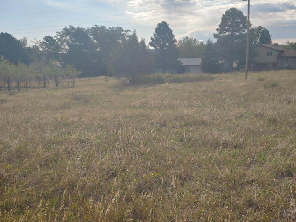 TBD Los Cerritos Dr - Photo 1
