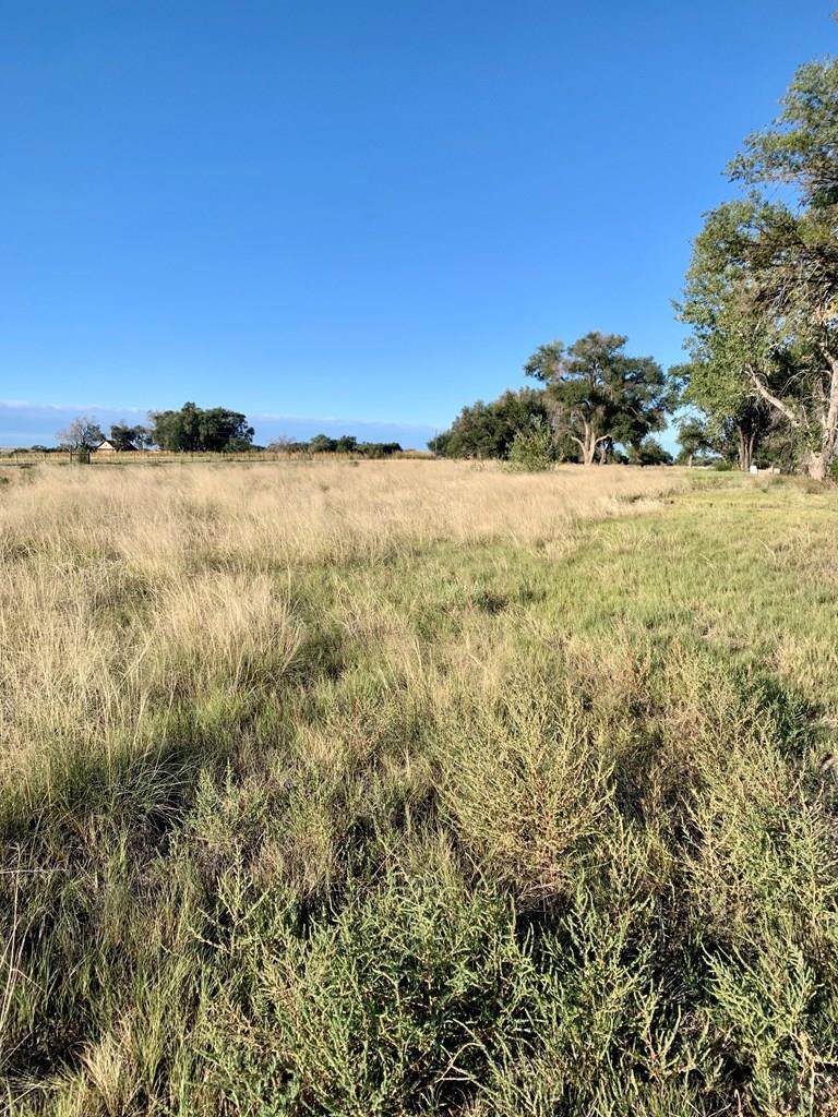29800 County Rd 8.75 - Photo 1