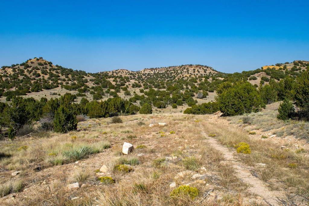 TBD No Site Address - Photo 1