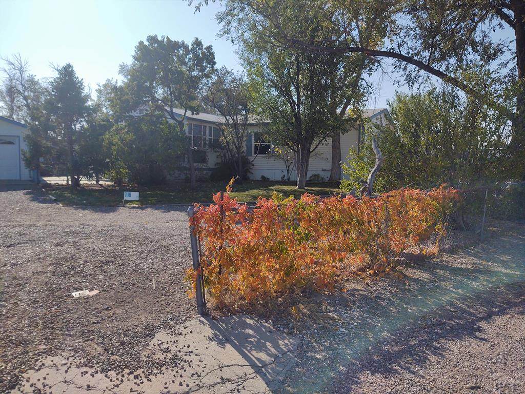 716 Joe Martinez Lane - Photo 1