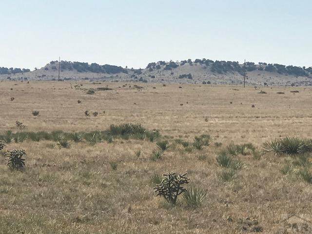 9 Turkey Ridge Ranch - Photo 1