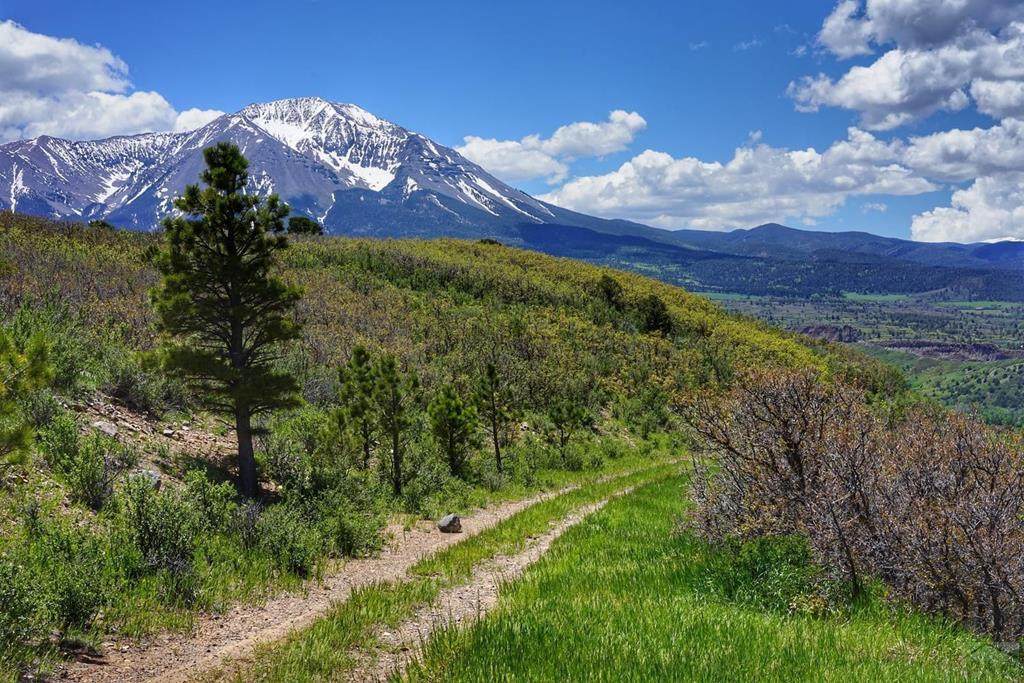 TBD County Rd 360 - Photo 1