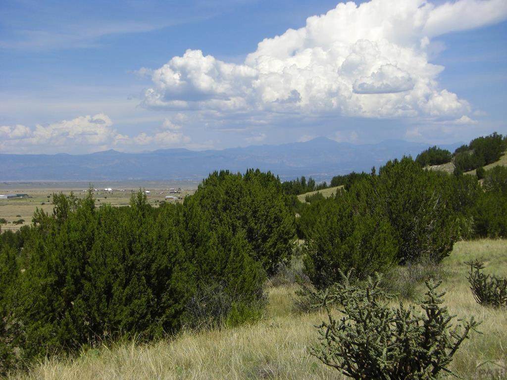 Lot 27 Pope Valley Ranch Rd - Photo 1