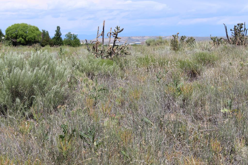 35843 Hidden Mesa Dr - Photo 1