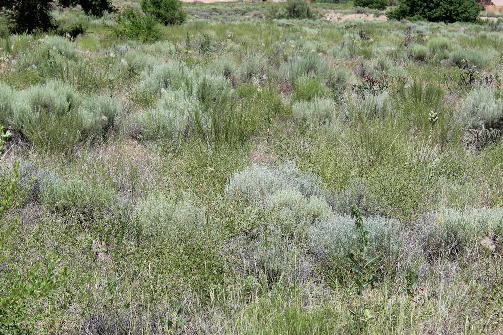35239 Hidden Mesa Dr - Photo 1