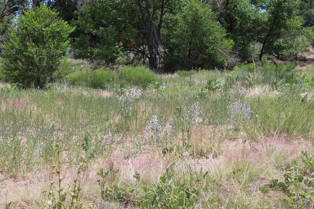 TBD Hidden Mesa Dr - Photo 1