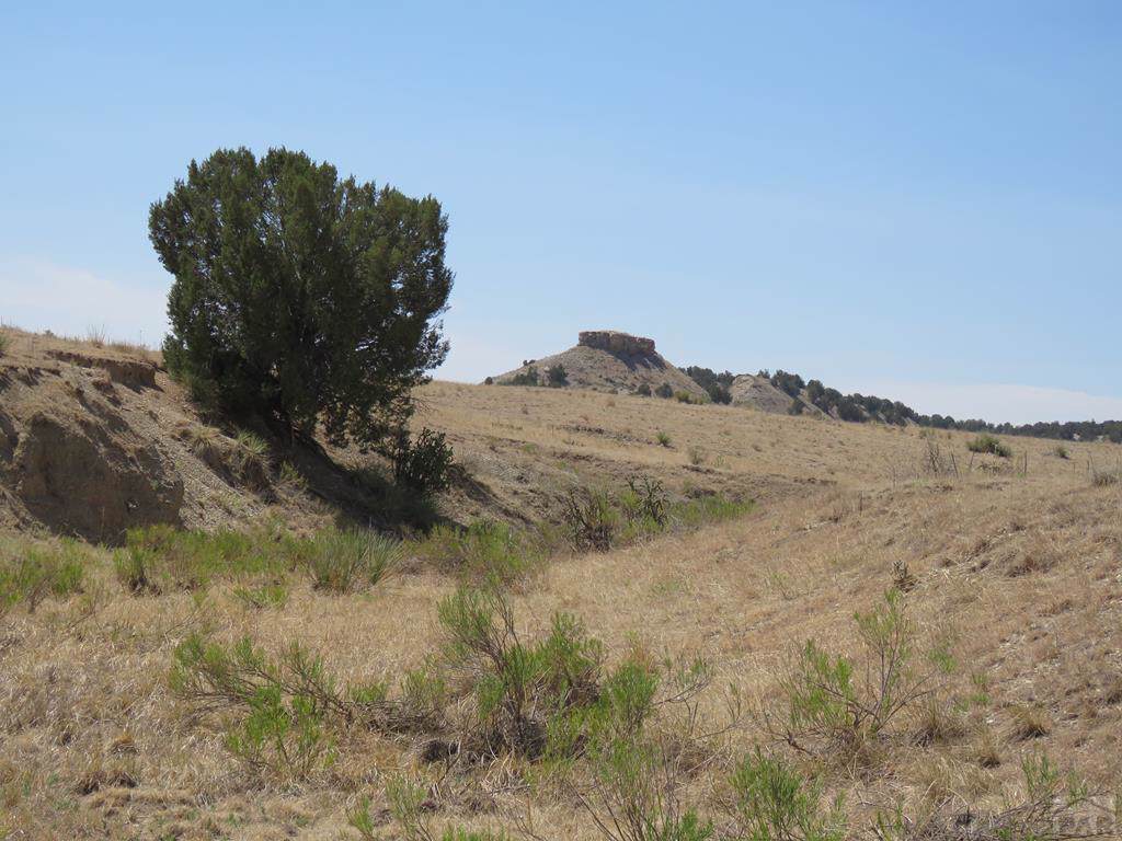 0 Mesa View Rd - Photo 1