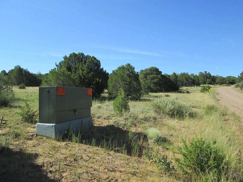 lot 142 River Ridge Ranch - Photo 1