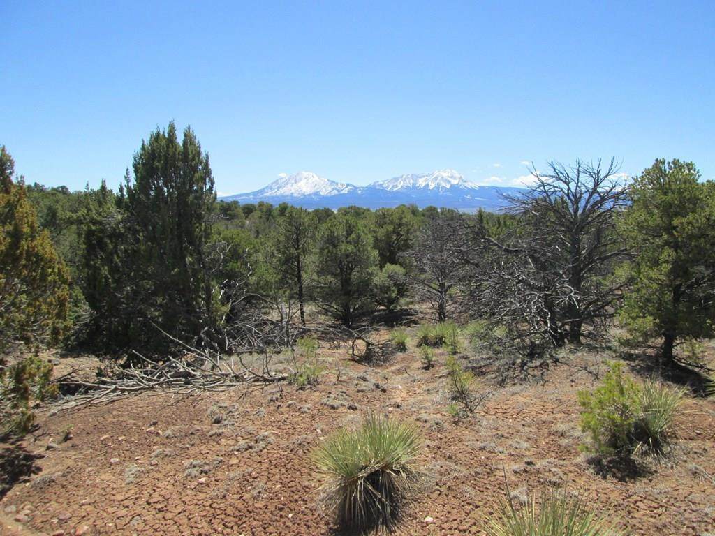 lot 14 Majors Ranch - Photo 1