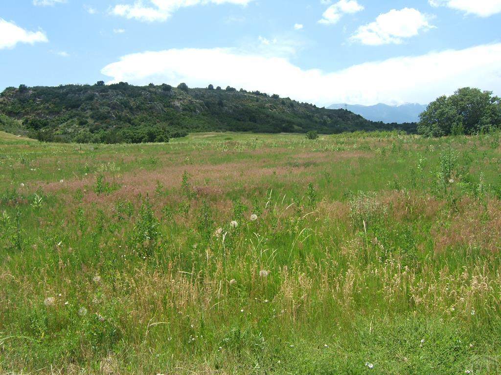 5007 Beckwith Dr - Photo 1