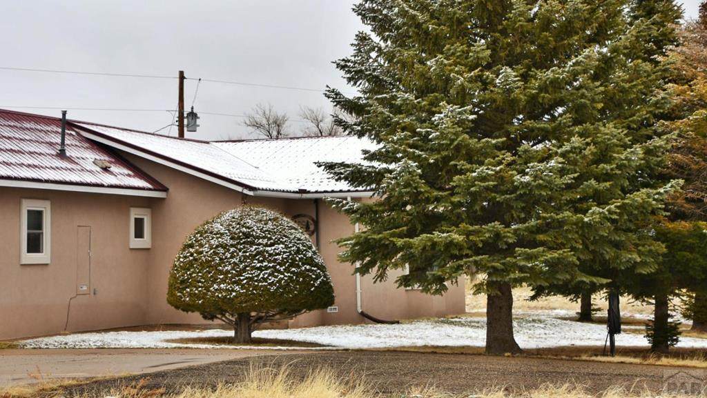 21029 Highway 160 - Photo 1