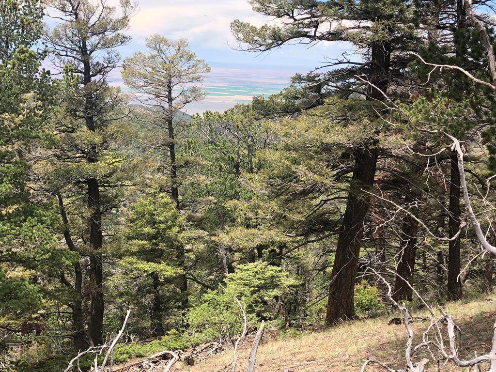 5556 Sangre De Cristo - Photo 1