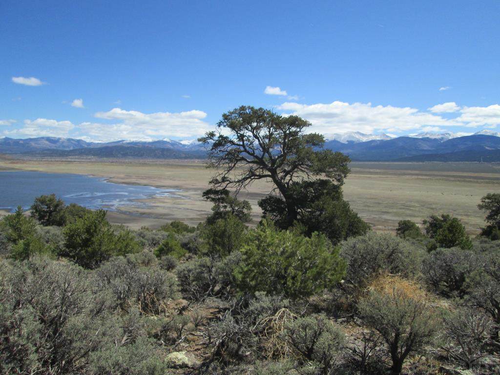 Lot 10 Sanchez Lake Dr - Photo 1