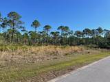 Lot 18 Shallow Reed Dr - Photo 3