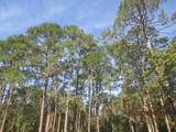 2967 Hwy 98 E - Photo 29