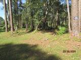 2967 Hwy 98 E - Photo 33