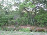 2629 Oak St - Photo 6