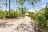 1704 Lilac Ln - Photo 40