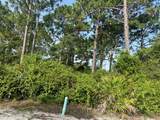 208 Royal Tern Way - Photo 3