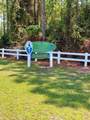 118 Royal Tern Way - Photo 9