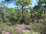 1332 Azalea Dr - Photo 15