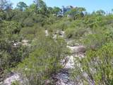 1332 Azalea Dr - Photo 19