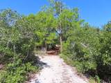 1332 Azalea Dr - Photo 25