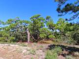 1332 Azalea Dr - Photo 33
