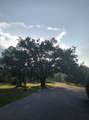 217 Boncycle Land Dr - Photo 23
