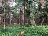 217 Boncycle Land Dr - Photo 24