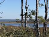 TBD Cape San Blas Rd - Photo 1
