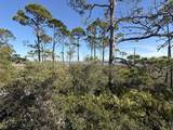 TBD Cape San Blas Rd - Photo 10