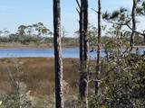 TBD Cape San Blas Rd - Photo 15