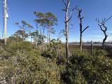 TBD Cape San Blas Rd - Photo 2
