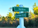 Lot 157 Ibis Dr. - Photo 12