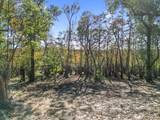 587 Texas Dr - Photo 3
