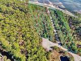 1513 Hwy 98 - Photo 2