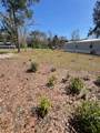 251 Rhodes Dr - Photo 6