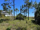 Lot 20 Gulf Pines Dr - Photo 10